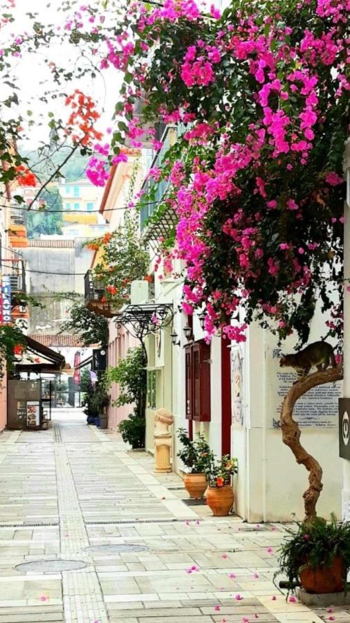Μπαλκόνι Apartment Nafplio Bagian luar foto